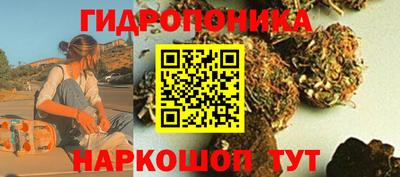 гидра Краснокаменск