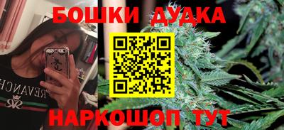 гидра Краснокаменск