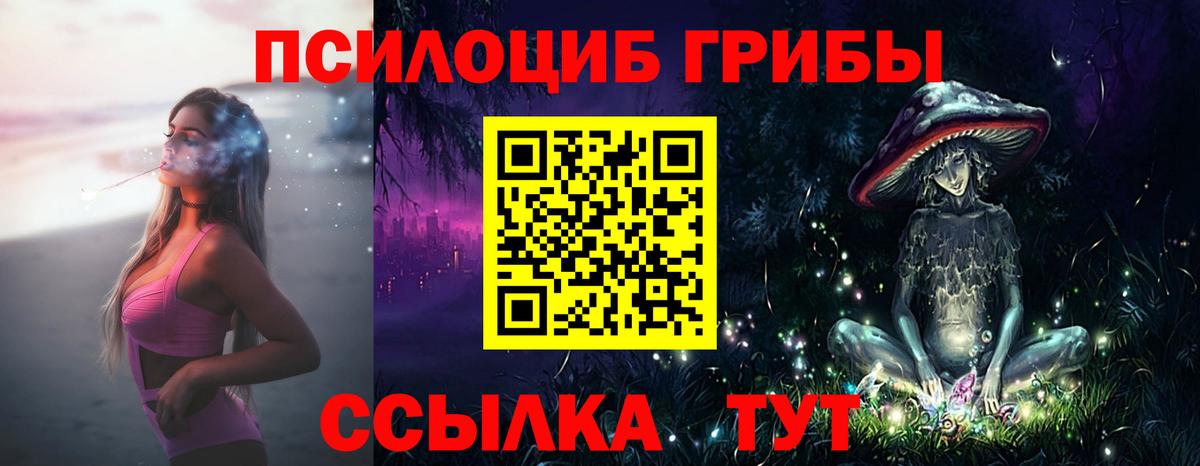 Псилоцибиновые грибы Cubensis  Галлюциногенные грибы прущие грибы  Вход с VPN  Благовещенск 