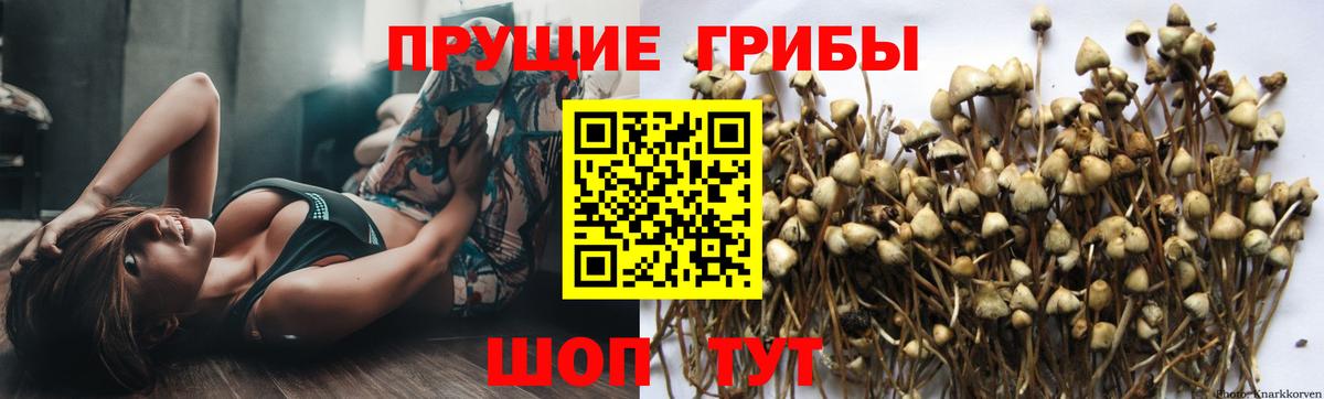 Псилоцибиновые грибы мухоморы Благовещенск